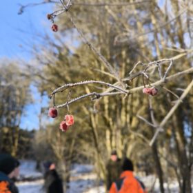 127d260e-008e-4398-9cf7-c0712acd5a6e