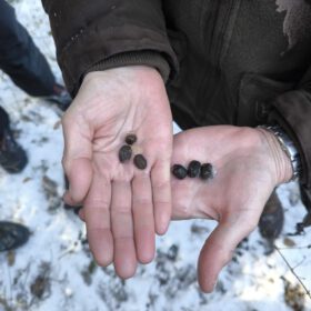 6f29f05b-9e53-45df-bb1e-a48f3fcccf18