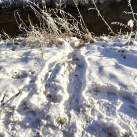 8083ee4d-2d6f-4bf1-8aab-8c3f1d9b44b9