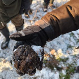 a215adc1-1424-4966-9104-af7041894788