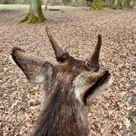 60a885a5-0353-4908-a4b6-24526b4a820b