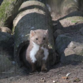 710522e3-ec81-48a4-8bfb-c5c5ef4a84c6