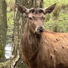 a115f380-22bc-4b7f-a547-c84748b2eb11