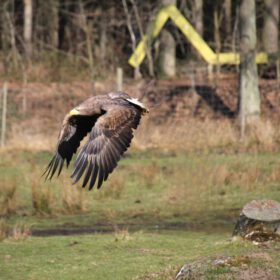 dfb3368a-be6a-466e-80e2-33a747870845